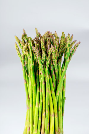 Vibrant bundle of fresh asparagus stands upright against neutral background, showcasing green stalks and delicate tips, perfect for culinary dishes or health-conscious meals.の写真素材
