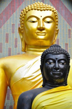 Two diffence colour Buddhaの写真素材