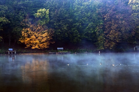 Beautiful morning at the lake in October. の写真素材