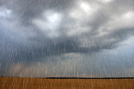 Rain