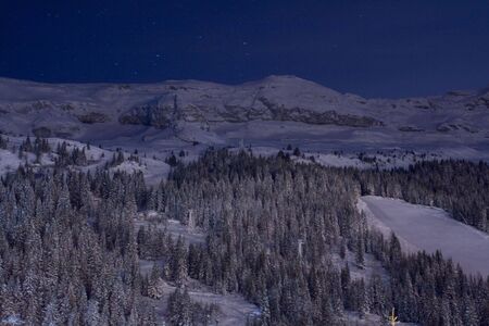 A picture of a tree covered snowy mountain side taken on a clear starry nightの写真素材