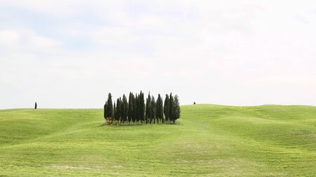 orcia valley. valdorcia. montalcino, tuscany. italy. cypress tree. daylight. green grass. hills.の写真素材