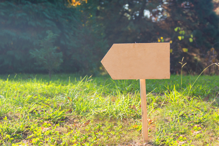 wooden board on the summer glade indicates the directionの写真素材