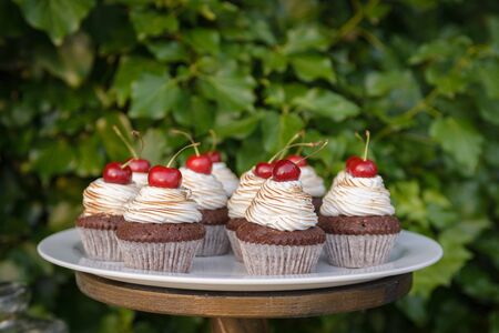 cupcakes on plate with green livesの写真素材