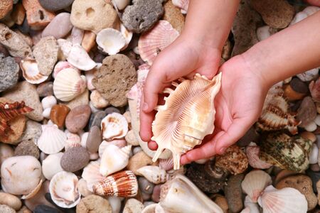 young girl hold in hands sea shellの写真素材