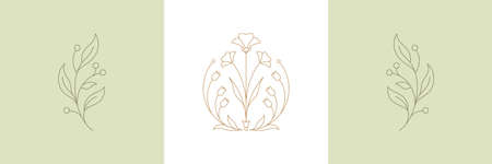 Botanical plant twigs and tender flower in boho linear style vector illustrations set.のイラスト素材