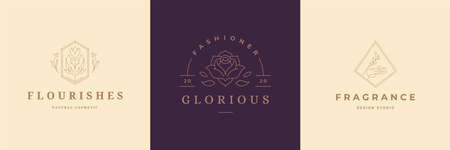Flower logos emblems design templates set with botanical plants and rose vector illustrations minimal linear styleのイラスト素材