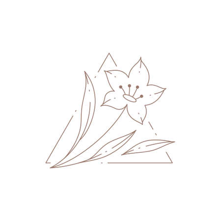 Simple romantic linear natural flower with petals, stem and leaves at triangle decorative frame logoのイラスト素材