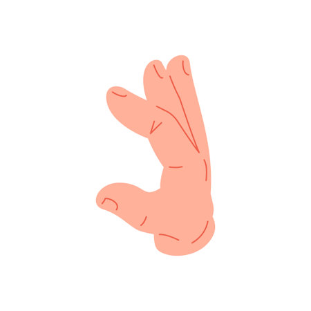 Human hand showing half heart ring catch fingers gesture icon vector flat illustration. Male cartoon arm gesturing love circle round position abstract romantic symbol elegant body language demonstrateのイラスト素材