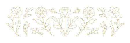 Elegant flower natural organic plant decor minimal golden line art icon set vector illustration. Romantic floral botanical blossom chamomile tulip buttercup leaves and stem beauty skin care logo brandのイラスト素材