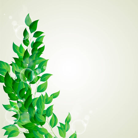 Vector illustration of Branch with green leavesのイラスト素材