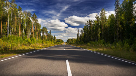 Evening summer forest road and sky
