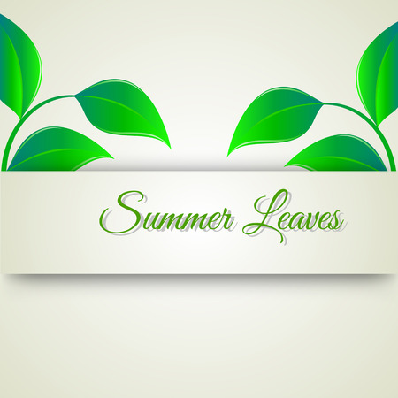 summer cards with green leavesのイラスト素材