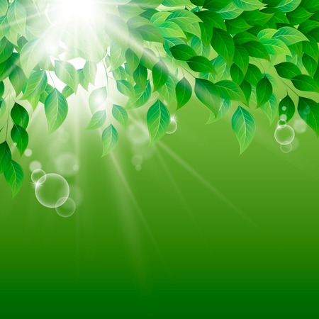 Natural backgroundのイラスト素材