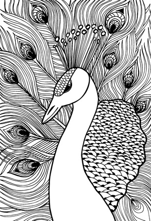 Decorative ornamental peacock. Doolle styleのイラスト素材