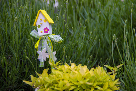 garden decor and young shoots of oregano in a white ceramic potsの写真素材