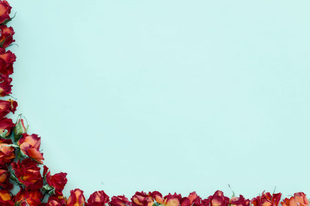 Background with red roses isolated on blue with sample textの写真素材