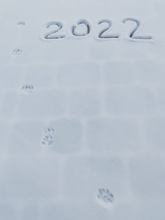 inscription on the snow 2022 with traces of tiger paws nearby - a symbol of the coming new year,...