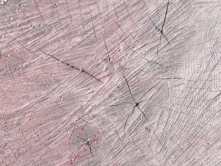 Beautiful background with the texture of sawn wood in pink shadesの写真素材