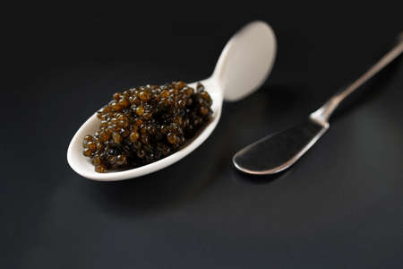 Natural black caviar in a white porcelain spoon on a dark background. Product segment. Place for the inscription. Minimalistic photo. Daylight.の写真素材