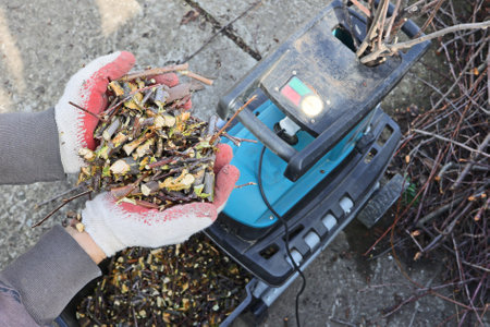 Mulch is a product of processing branches after pruning garden trees, close-up in a handful from a person. Conceptually ecology, respect for nature, organic farmingの写真素材