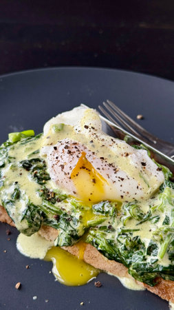 Poached egg on a piece of bread with spinach on the black plateの写真素材