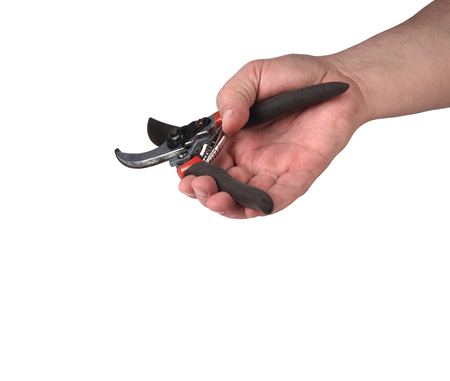 secateurs in a hand on a white backgroundの写真素材