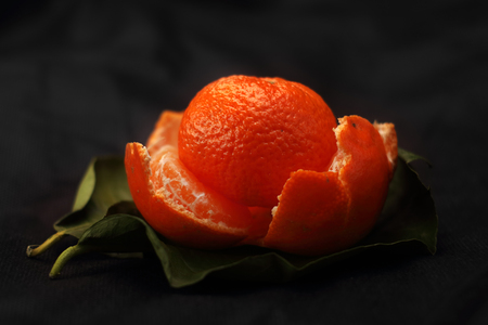 two mandarins on a leaf and a black backgroundの写真素材