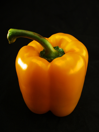 yellow ripe pepper on a black backgroundの写真素材