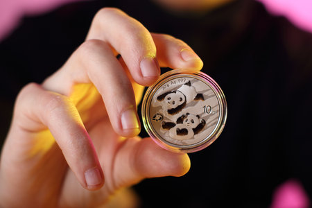 silver yuan coin with pandas on the obverse face value 10 held in the hand of the person in the backgroundの写真素材