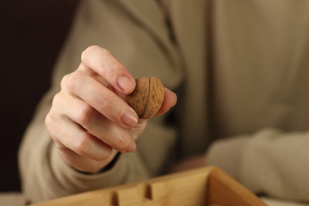 walnut in hand over wooden caseの写真素材