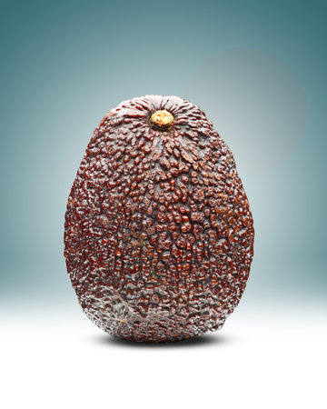 ripe brown an avocado on blue background with gradient