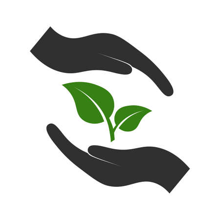 leaf, sprout of green color between hands, in hands, icon design with white background and simple style. A symbol of life, protection and care for nature and the environmentのイラスト素材