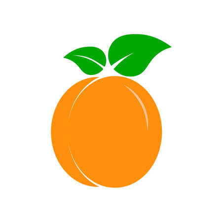 Peach apricot icon design. Orange apricot peach with two leaves. Business concept for organic dessert.のイラスト素材