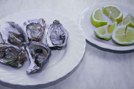 close up of a plate with oysters and lemonsの写真素材
