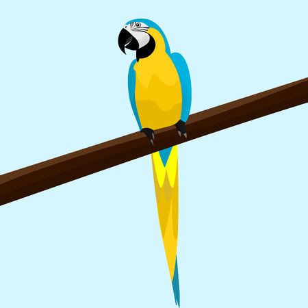 A cute parrot sitting on a branch of a treeのイラスト素材