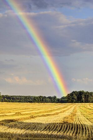This photo present Rainbow over the stubble の写真素材