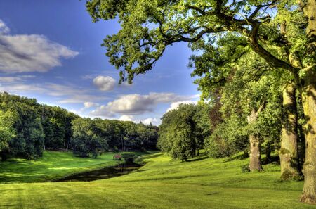 This photo present park in which they grow old oaks and beeches HDR の写真素材