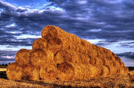 This photo present stubble after harvest grain at sunset light HDR の写真素材