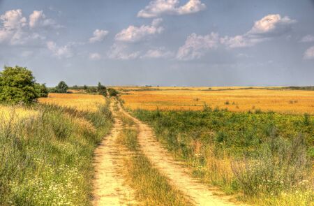 The photo shows the way that leads through cultivated fields HDR の写真素材