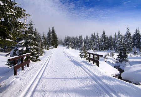 wintry landscape scenery with modified cross country skiing way の写真素材