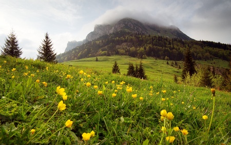 velky (gross) rosutec mount - mala (small) fatra mountains - slovakiaの写真素材