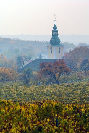 church in autumnal vineyard の写真素材