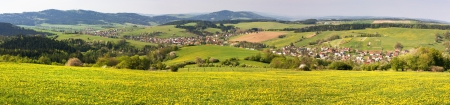 spring time and meadow with common dandelion  taraxacum  - Carpathian mountains - Horni Lidec village, Moravia, Czech Republicの写真素材