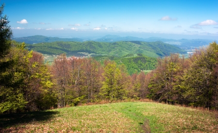 beautiful springtime on carpathian mountainsの写真素材