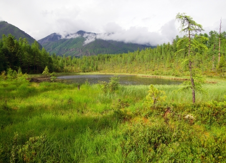 tajga in sayan mountains - buryatia - russia の写真素材