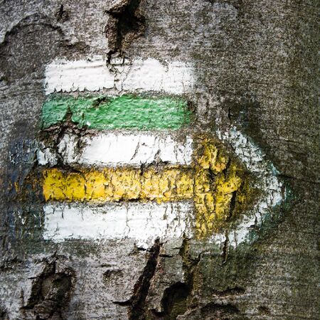 green, yellow and white hiking trail signs symbols in springtime on treeの写真素材
