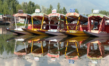Shikara boats on Dal Lake in Srinagar, Jammu and Kashmir, Indiaのeditorial素材