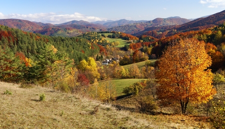 autumnal view of strazov mount in strazovske vrchy - strazov highlands slovakia europeの写真素材