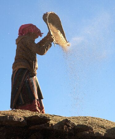 SIM VILLAGE, WESTERN NEPAL, 15TH NOVEMBER 2013 - Nepal woman cleaning corn by primitive methodのeditorial素材